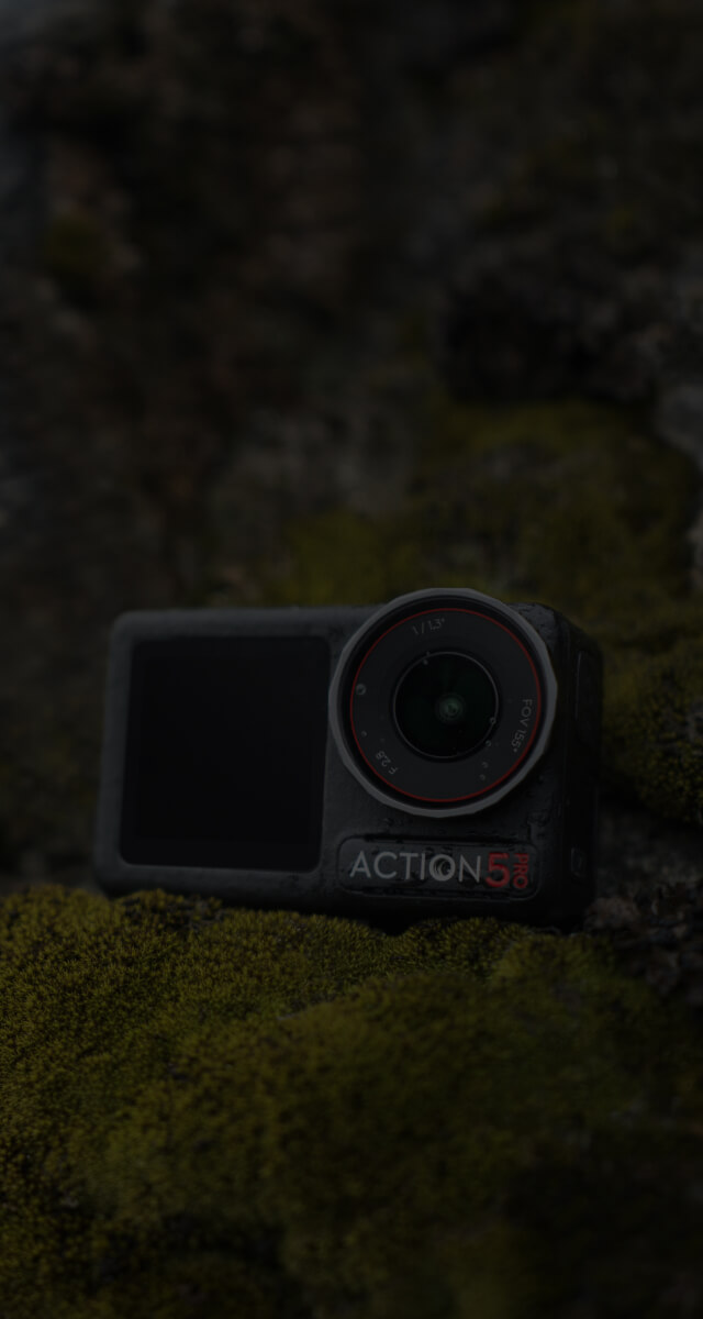Explore More Activities